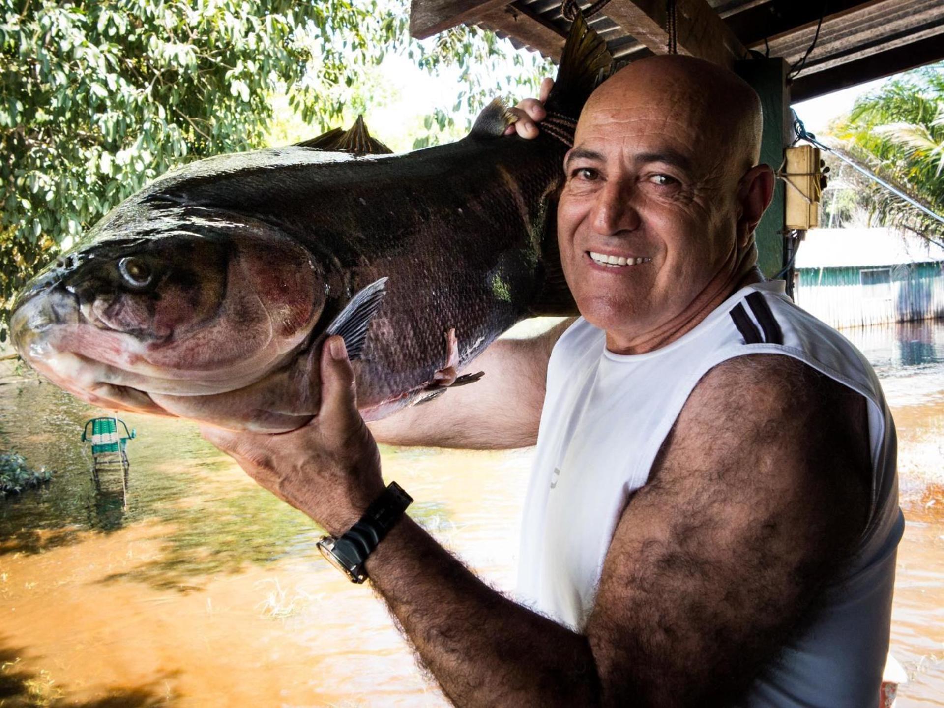 Amazonia Lodge Exxperience Paricatuba Bagian luar foto
