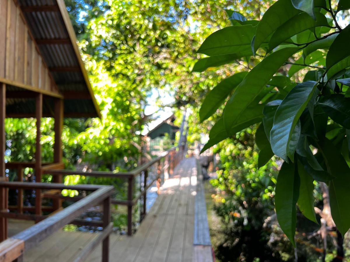 Amazonia Lodge Exxperience Paricatuba Bagian luar foto